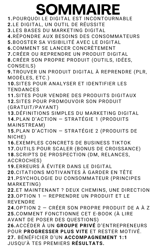 📈 Lance ton business digital en 24h – VIP